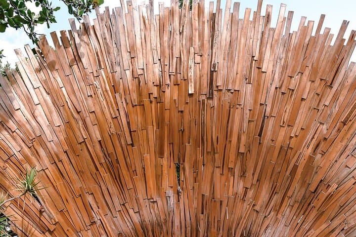 Tulum Ruins, Casa Tortuga Cenotes & Ven a la Luz: Full-Day Tour from Playa or Cancun photo 5