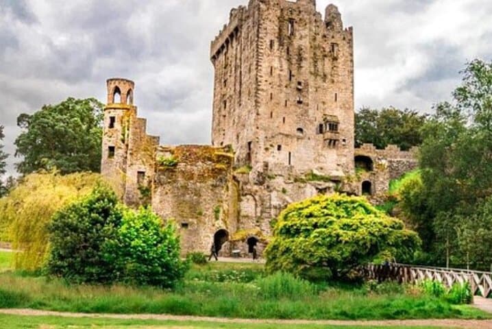 Private Chauffeur Day Tour: Blarney Castle & The Rock of Cashel from Dublin
