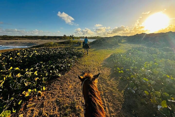 Experience a Sunset Horseback Adventure at Macao Beach photo 2