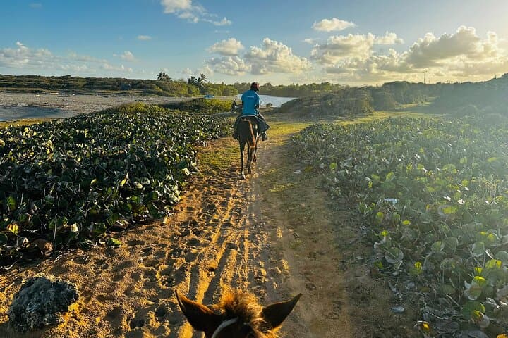 Experience a Sunset Horseback Adventure at Macao Beach photo 5