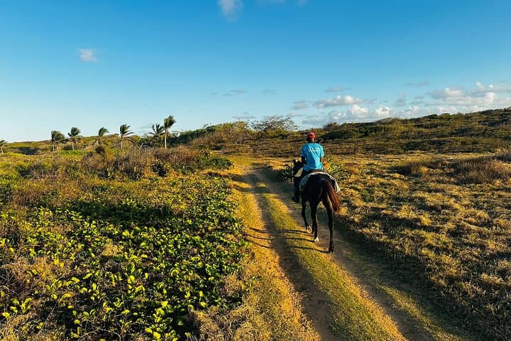 Experience a Sunset Horseback Adventure at Macao Beach photo 3
