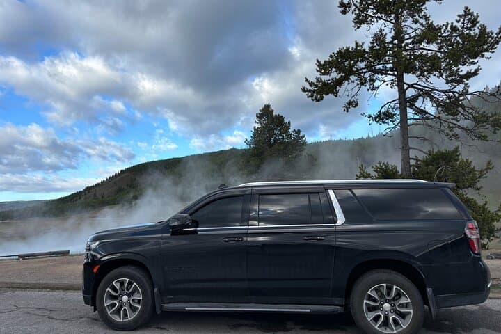 Private Yellowstone Natural Wonders Tour from Jackson Hole — Geysers, Falls & Wildlife photo 5