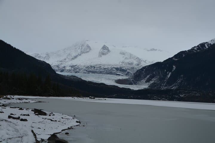 Experience Juneau’s Mendenhall Glacier and Whale Watching Adventure photo 2