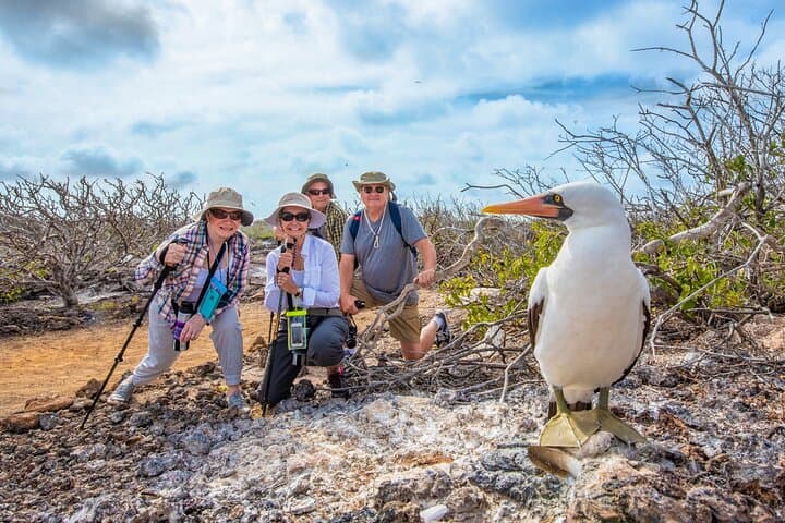 5-Day Isabela II Galápagos Seabird Sanctuary Expedition Aboard Yacht Isabela II