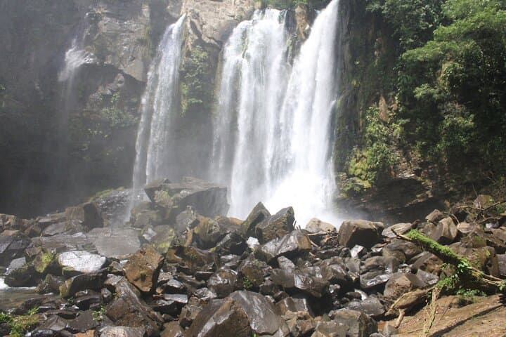 Nauyaca Waterfalls Hike from Quepos: 7 km Rainforest Walk to Twin Falls photo 2