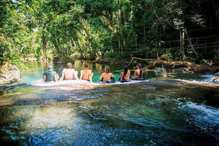 Half-Day Blue Lagoon & Eden on the River Tour from Port Vila photo 4