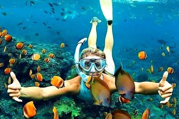 Blue Lagoon Bali Snorkeling: Shore-Entry Coral Gardens at Padangbai