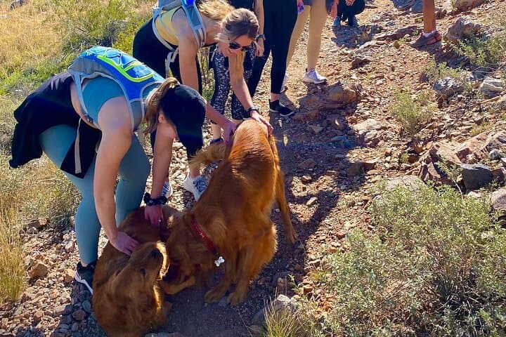Scottsdale Bachelorette Desert Hike: Private Guided Sonoran Adventure photo 6