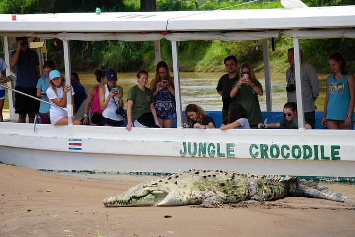 Tarcoles Crocodile Safari and Carara National Park Private Tour photo 2