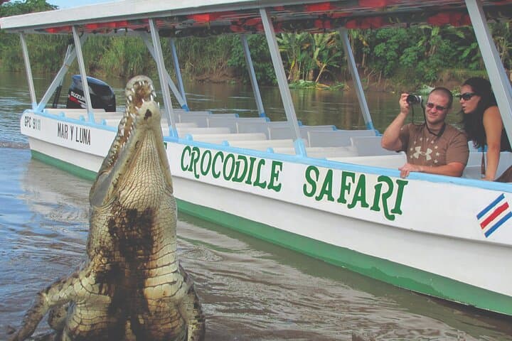 Tarcoles Crocodile Safari and Carara National Park Private Tour photo 1