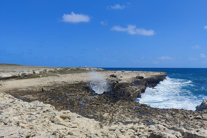 Scenic Full-Day Antigua Tour — Devil's Bridge, Shirley Heights & Nelson's Dockyard photo 6