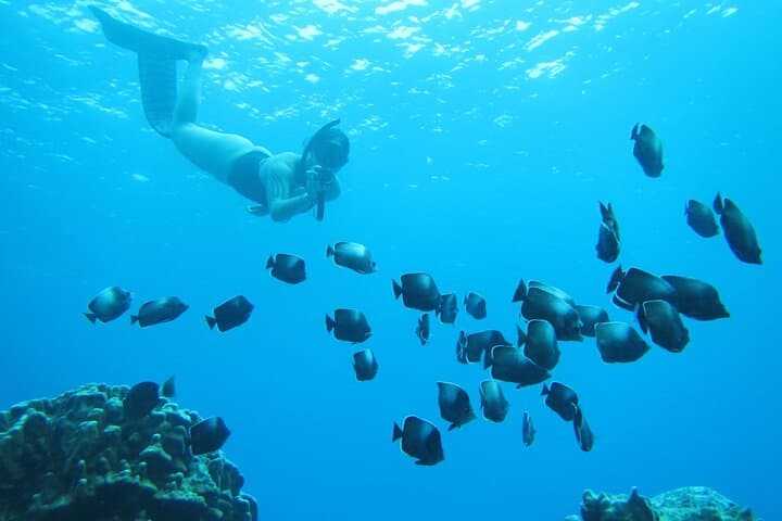 Snorkeling Easter Island’s Coral Reefs: Guided Ovahe Beach Experience