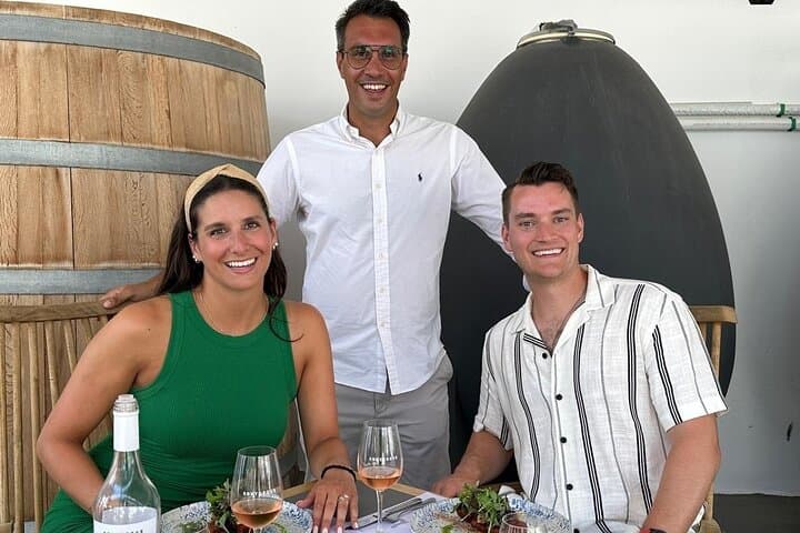 Santorini Private Wine Tasting Tour: 4 Wineries, Assyrtiko & Lunch photo 6