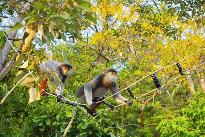 Marble Mountains, Monkey Mountain & Am Phu Cave Half-Day Tour from Da Nang photo 5