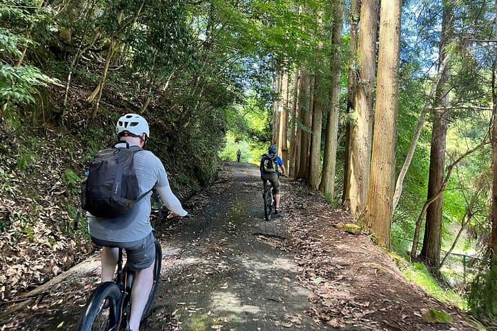 Amanohashidate Sandbar E‑Bike Tour: Ride Japan’s Bridge to the Heavens photo 4