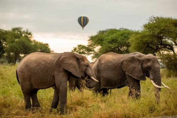 4-Day Safari: Tarangire, Serengeti & Ngorongoro — Great Migration and Big Five photo 2