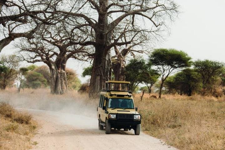 2-Day Tarangire & Ngorongoro Safari: Big Five, Baobabs & Maasai Culture photo 3