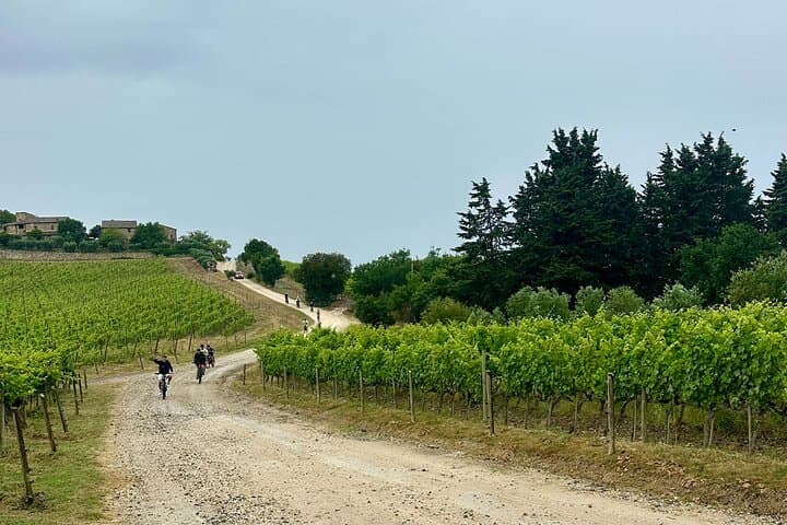 Chianti Classico E-Bike Tour: Hills, Castles & Winery Lunch photo 3