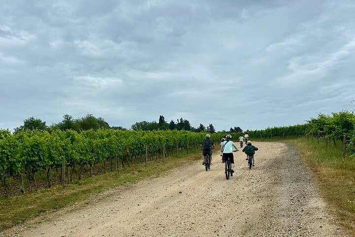 Chianti Classico E-Bike Tour: Hills, Castles & Winery Lunch