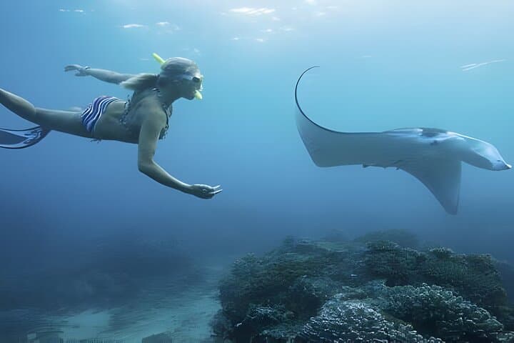 Two Days on Nusa Penida: Kelingking, Angel's Billabong & Crystal Bay photo 3