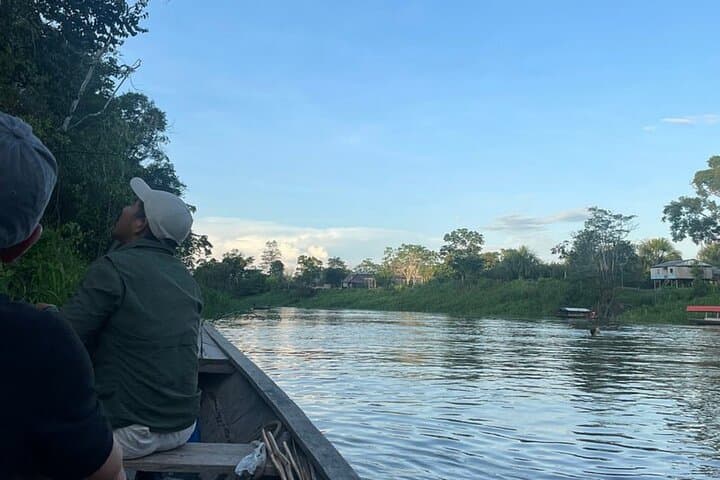 3-Day Amazon Wildlife Expedition from Iquitos: Yarapa River Camp & Pacaya-Samiria photo 6