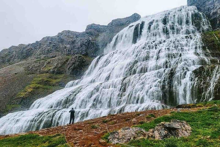 Dynjandi Waterfall & Farm Visit: Half-Day from Ísafjörður photo 5