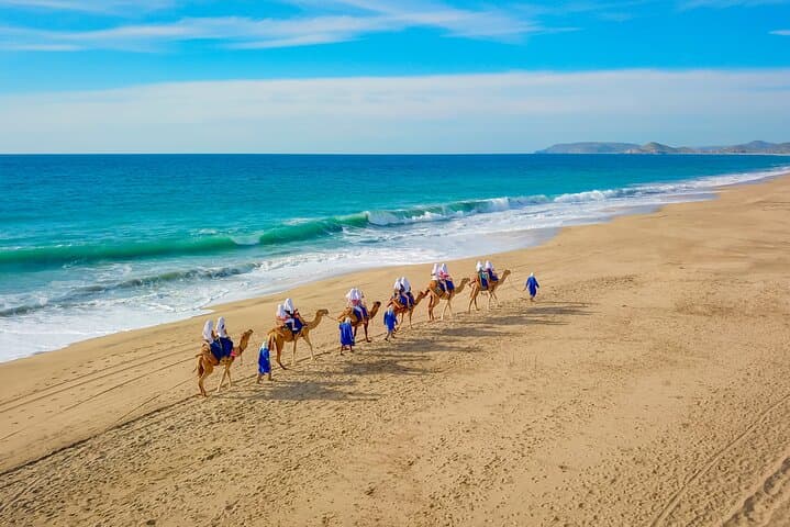 UTV Off-Road and Camel Ride at Tierra Sagrada — Cabo Combo Adventure photo 5
