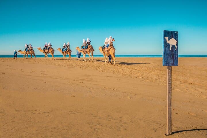 UTV Off-Road and Camel Ride at Tierra Sagrada — Cabo Combo Adventure photo 6