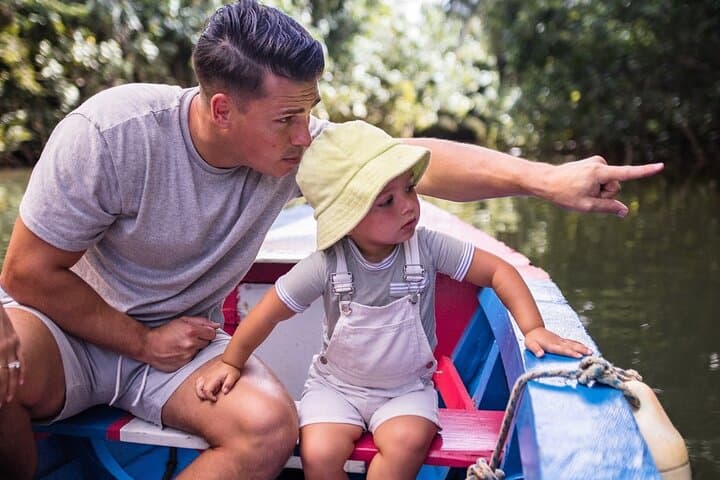Dominica Indian River Discovery & Mero Black Sand Beach — Canoe Tour from Roseau photo 3