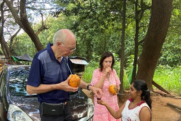 Kandy to Nuwara Eliya Day Trip: Tea Estates, Ramboda Falls & Gregory Lake