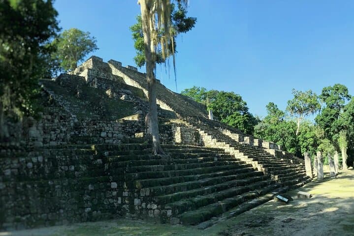 Calakmul Ancient Maya City Day Trip from Bacalar or Chetumal photo 3