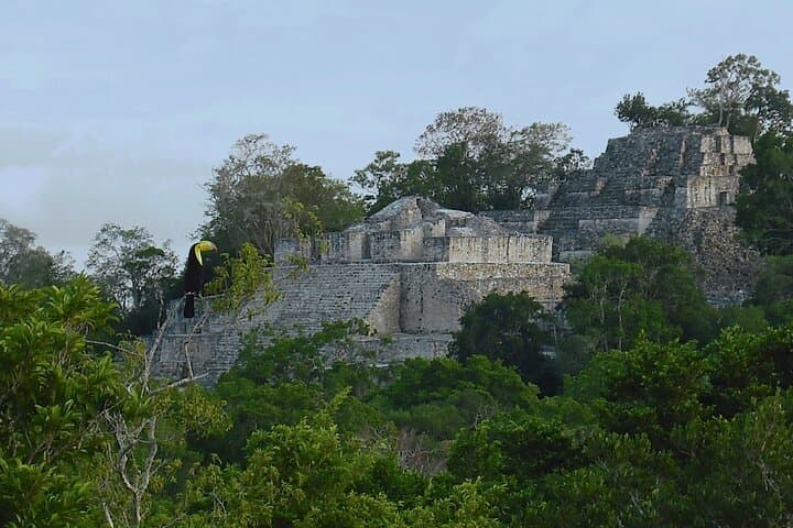 Calakmul Ancient Maya City Day Trip from Bacalar or Chetumal photo 5