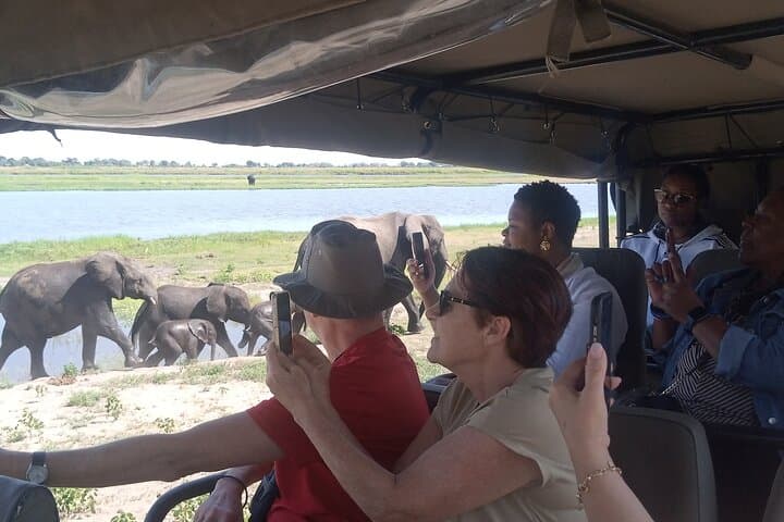 Chobe Safari Day Trip from Livingstone: River Cruise & Game Drive photo 3