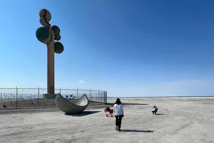 Exploring the Bonneville Salt Flats: Half-Day Salt-Crust Adventure from Salt Lake City photo 3