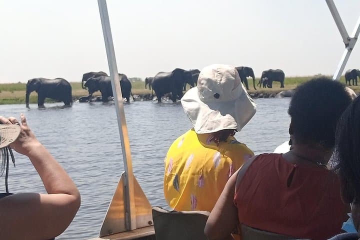 Chobe Safari Day Trip from Livingstone: River Cruise & Game Drive photo 4