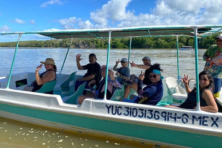 Celestún Mangrove Boat Tour from Mérida — Flamingos, Mangrove Tunnel & Beach Day photo 4