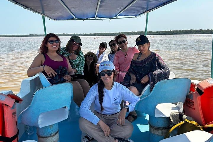 Celestún Mangrove Boat Tour from Mérida — Flamingos, Mangrove Tunnel & Beach Day photo 3