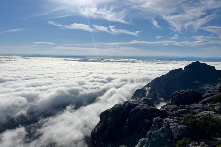 Hike Table Mountain: Guided Summit Adventure from Cape Town photo 4