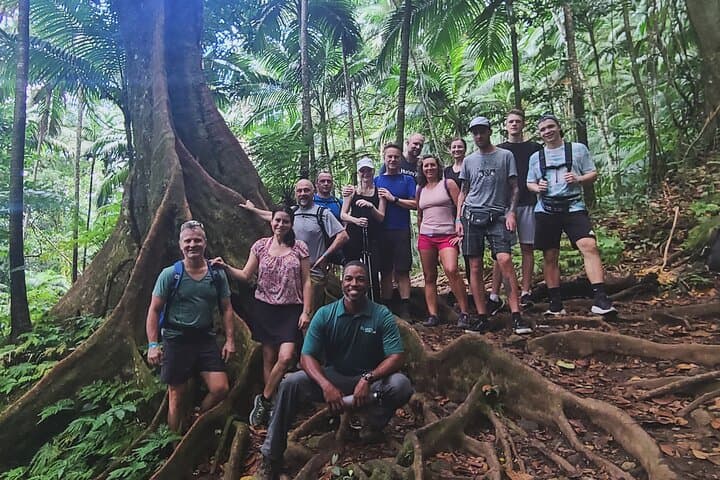 Mount Liamuiga Trek — St Kitts Volcano Caldera Hike