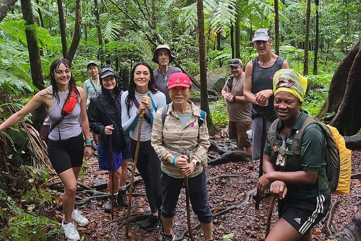 Mount Liamuiga Trek — St Kitts Volcano Caldera Hike photo 2