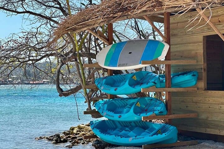Brady's Cay Private Day Tour, Roatán — Beach Pass, Snorkeling & Water Sports photo 3