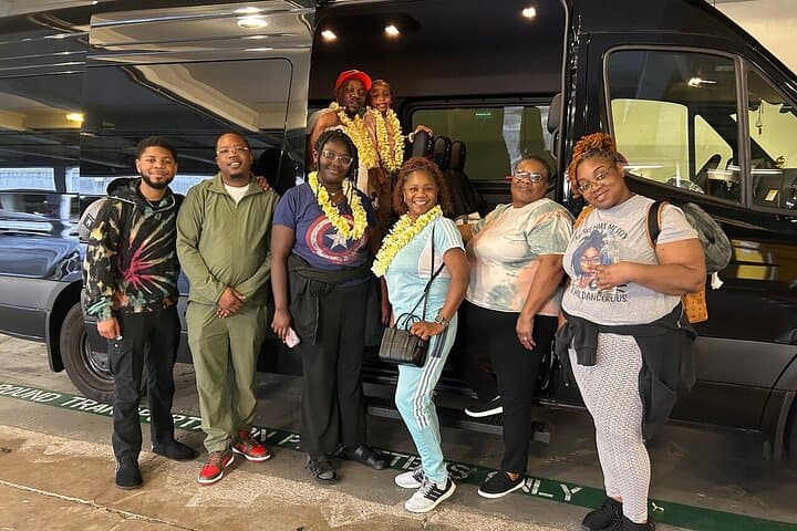 Seamless Honolulu Luxury Transfer: Airport, Hotel & Port Pickup for Small Groups photo 5