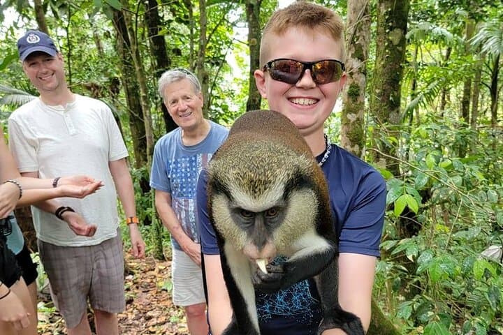 Explore Grenada’s Grand Etang & Waterfalls: Day Hike through Rainforest and Crater Lake