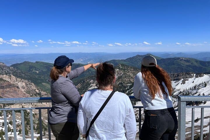 Snowbird Summer Excursion: Tram to Hidden Peak & Guided Cirque Trail Hike from Salt Lake City photo 5