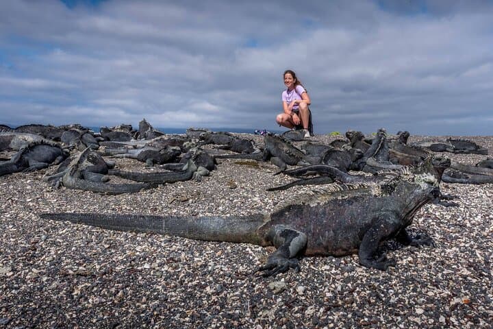 Galápagos Isabela II: 5-Day Western Cruise to Bartolome, Fernandina & Punta Vicente Roca photo 1