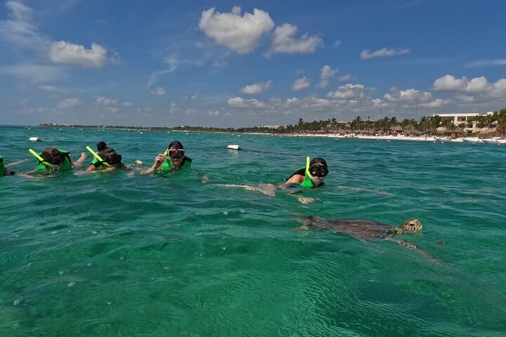 Private Akumal Snorkeling Experience: Swim with Turtles on Akumal Beach photo 5