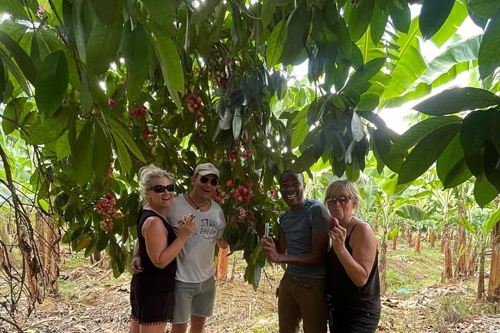 3-Hour St. Lucia Land & Sea Tour: Castries Market, Marigot Bay & Rum Tasting photo 4