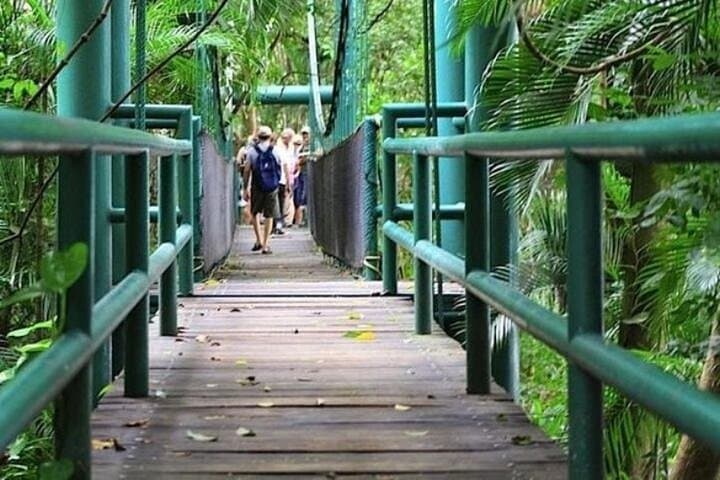 La Venta Park Museum Tour: Olmec Art from Palenque to Villahermosa photo 4