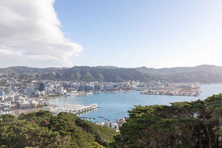 Half-Day Wellington Guided Tour — Mount Victoria, Lyall Bay & Cable Car Experience