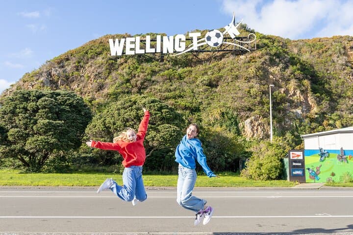 Half-Day Wellington Guided Tour — Mount Victoria, Lyall Bay & Cable Car Experience photo 2
